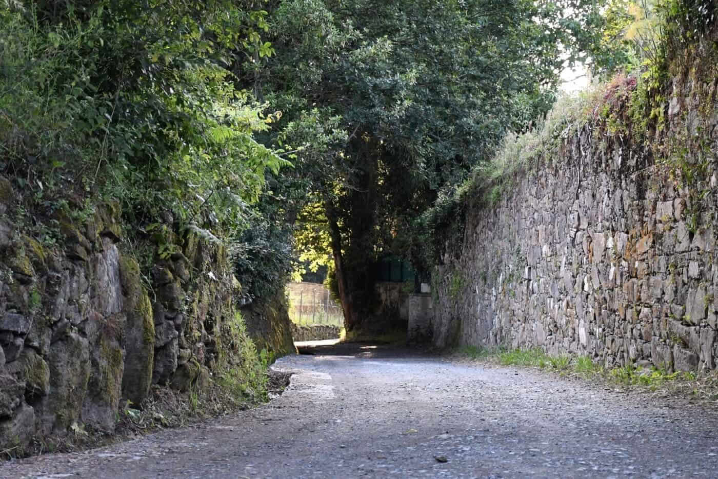 Portuguališkasis Camino de Santiago iš Tui per 5 etapus, komforto klasė
