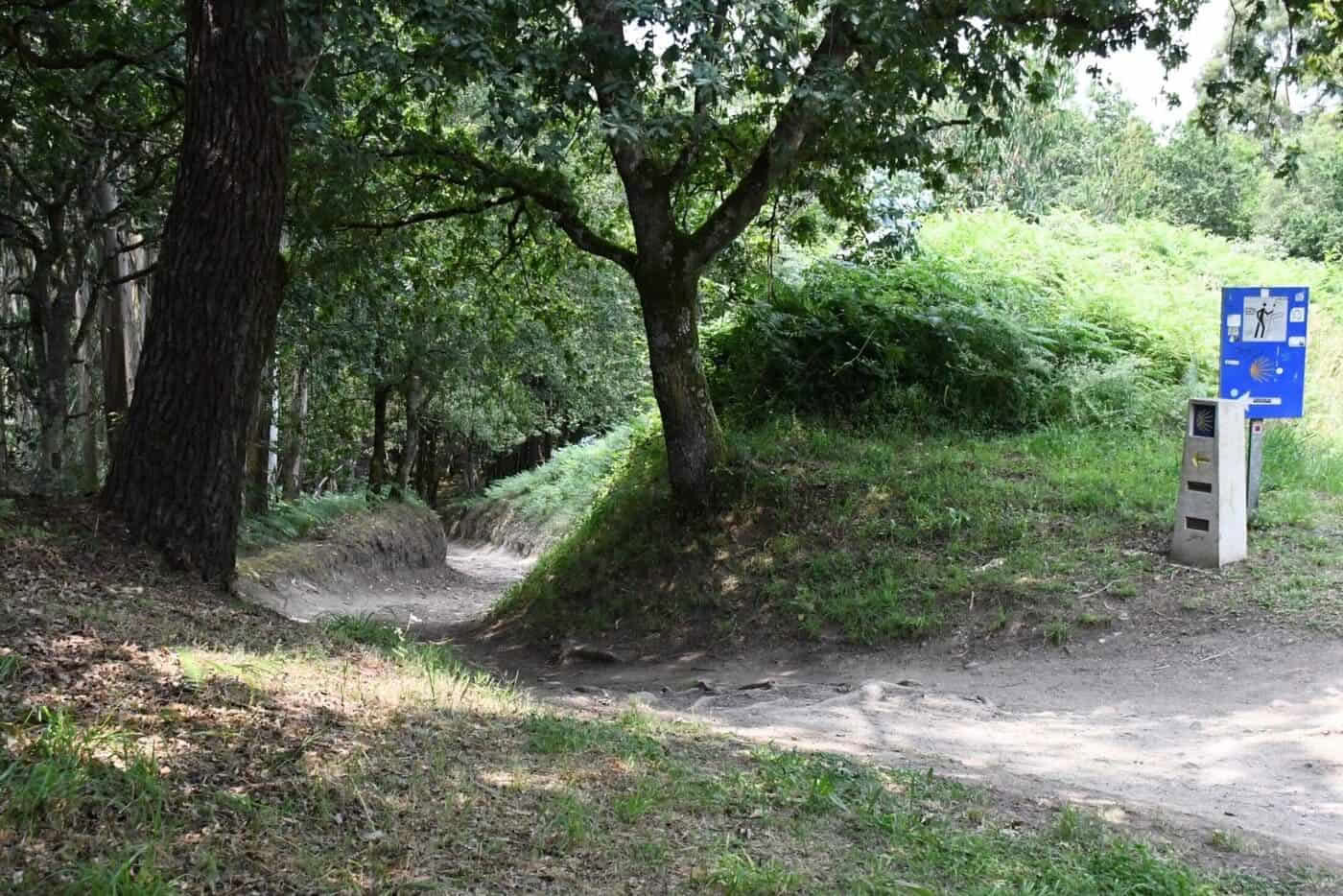 Primityvusis Camino iš Lugo per 5 etapus, komforto klasė