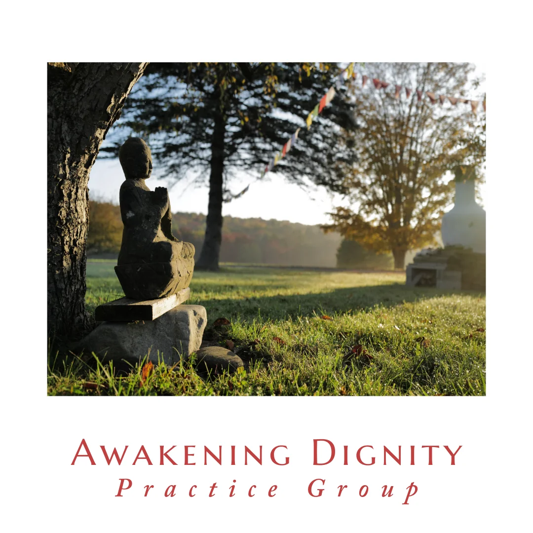 Samye Institute Awakening Dignity kurso praktikos grupė