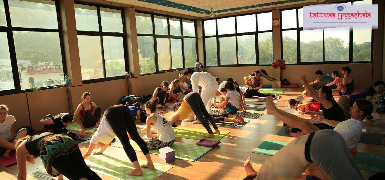 500 valandų jogos TTC Rishikesh