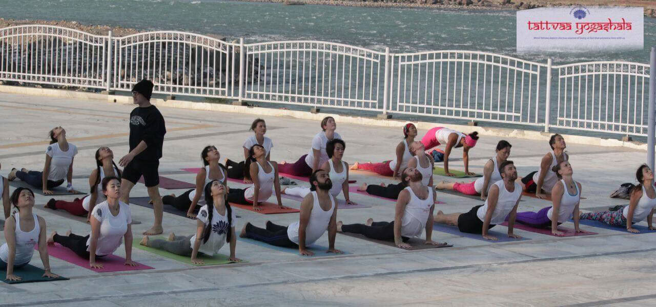 500 valandų jogos TTC Rishikesh