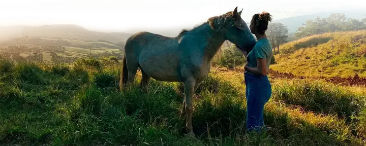 Ryšys su vidine gerove