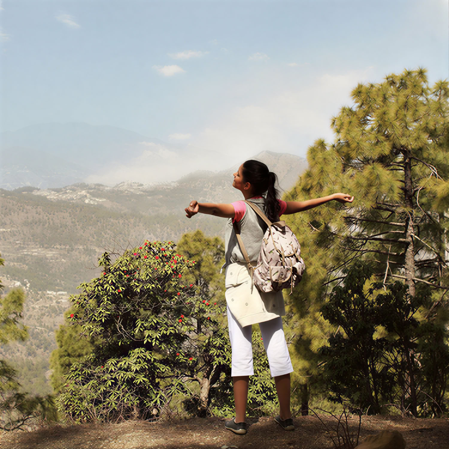 Ananda Himalajuose