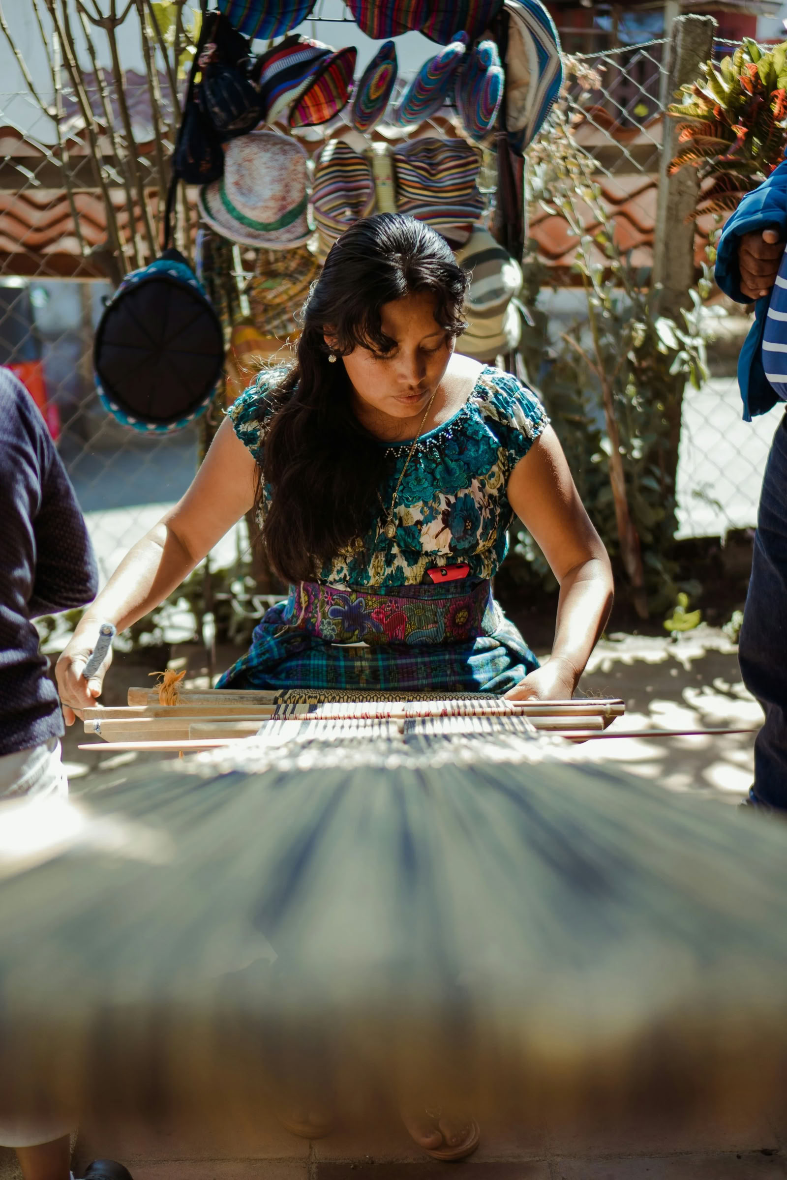 Chichicastenango turgus