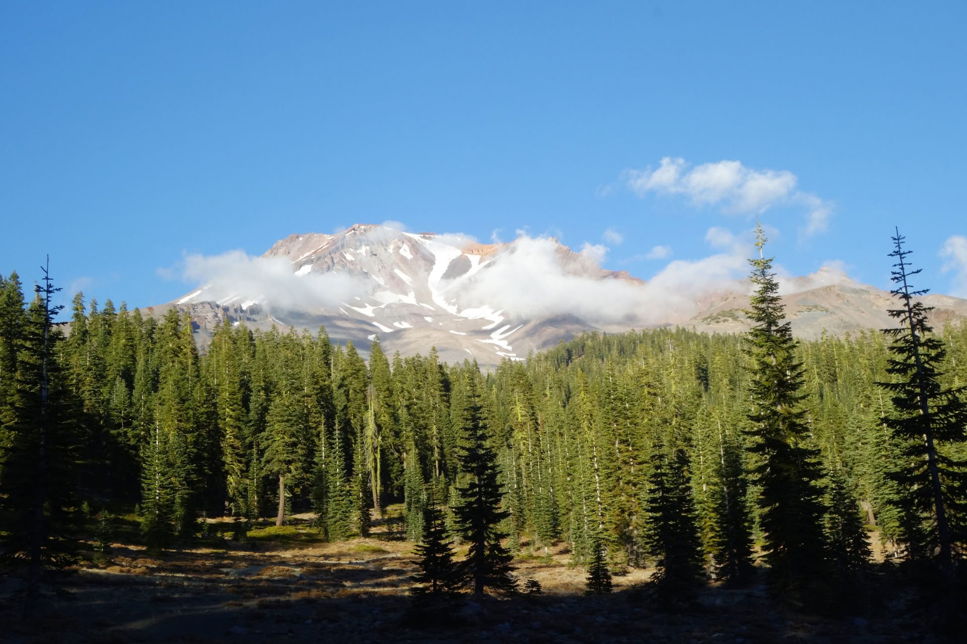 Aukščiausios klasės Mount Shasta retritai