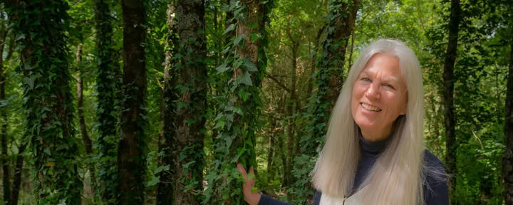 Kate Hawley - Reiki integracijai
