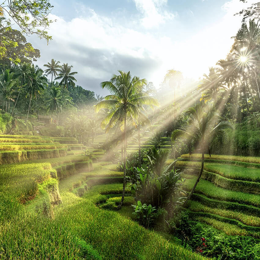 Ubudas, Balis