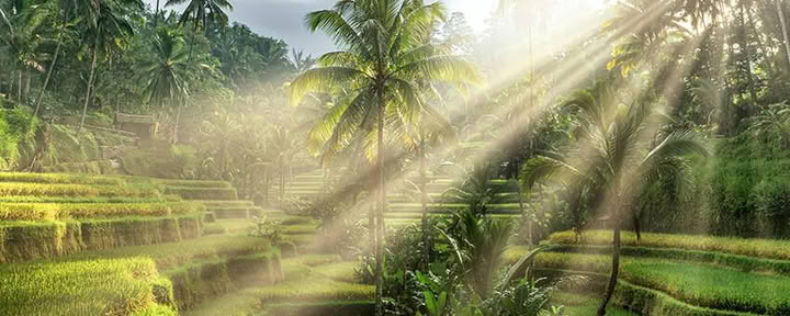 Ubudas, Balis