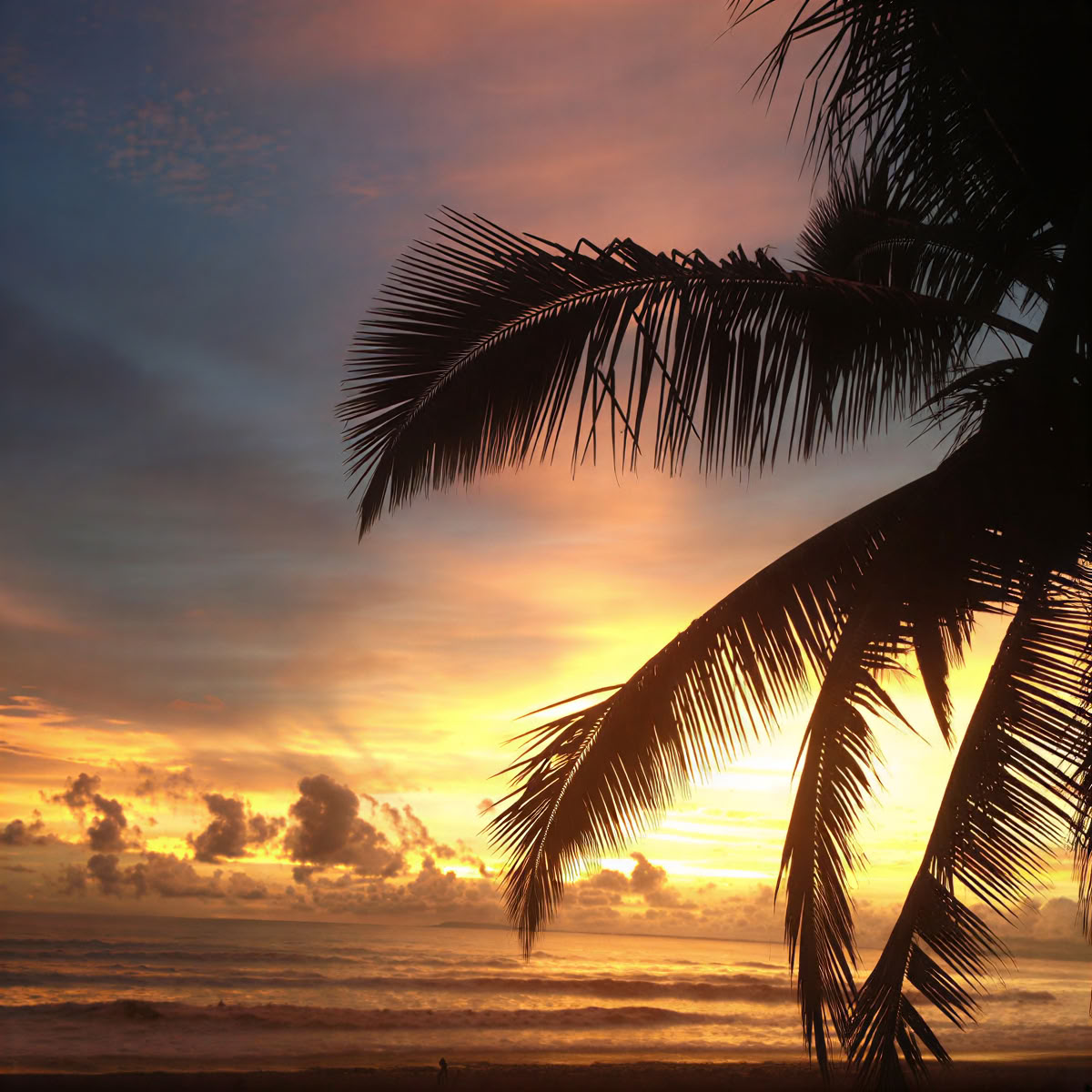 Jaco Beach Costa Rica retritas