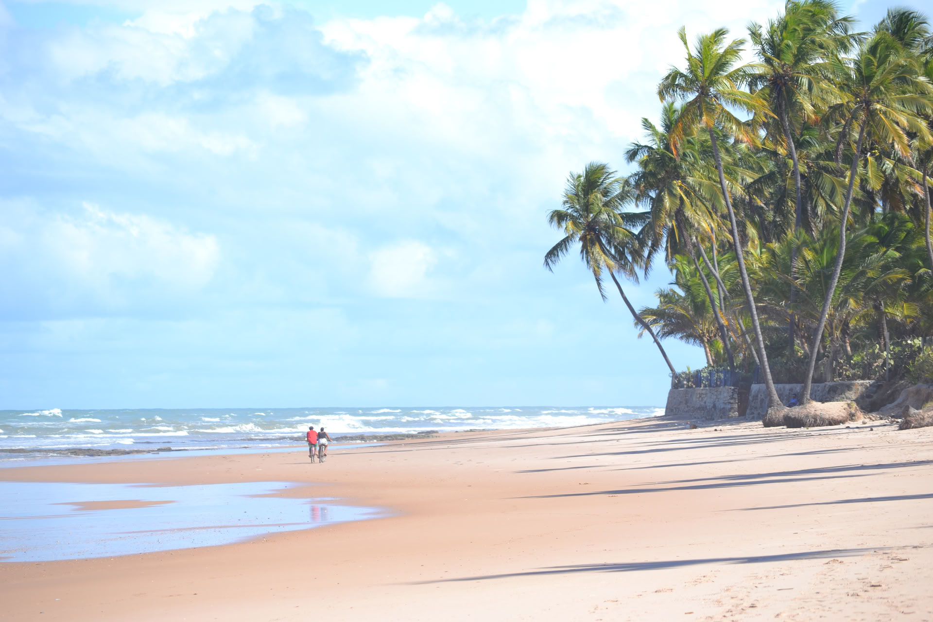 Banglenčių stovykla Bahia Brazilija