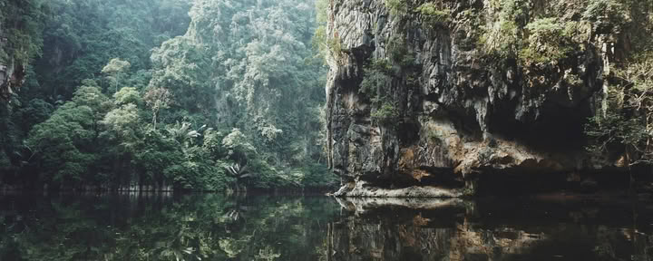 11 dienų Ayahuasca retritas