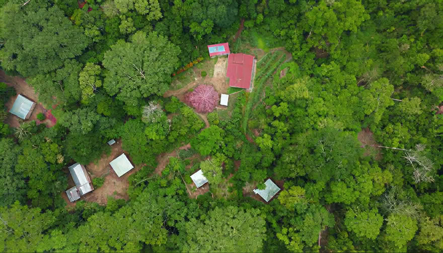Ayahuasca savaitgalio retritas