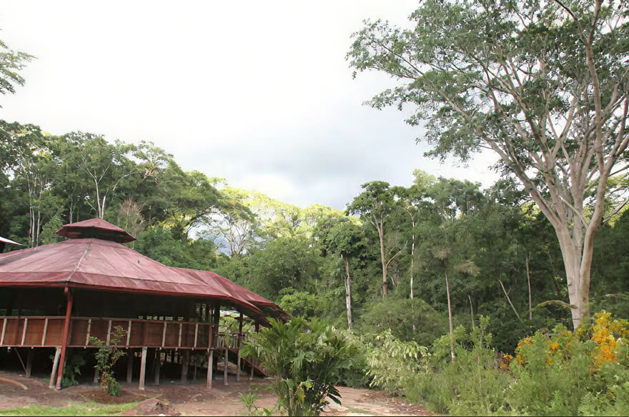 Ayahuasca savaitgalio retritas