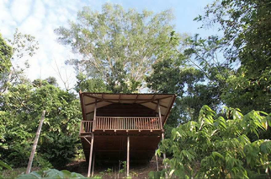 Ayahuasca savaitgalio retritas