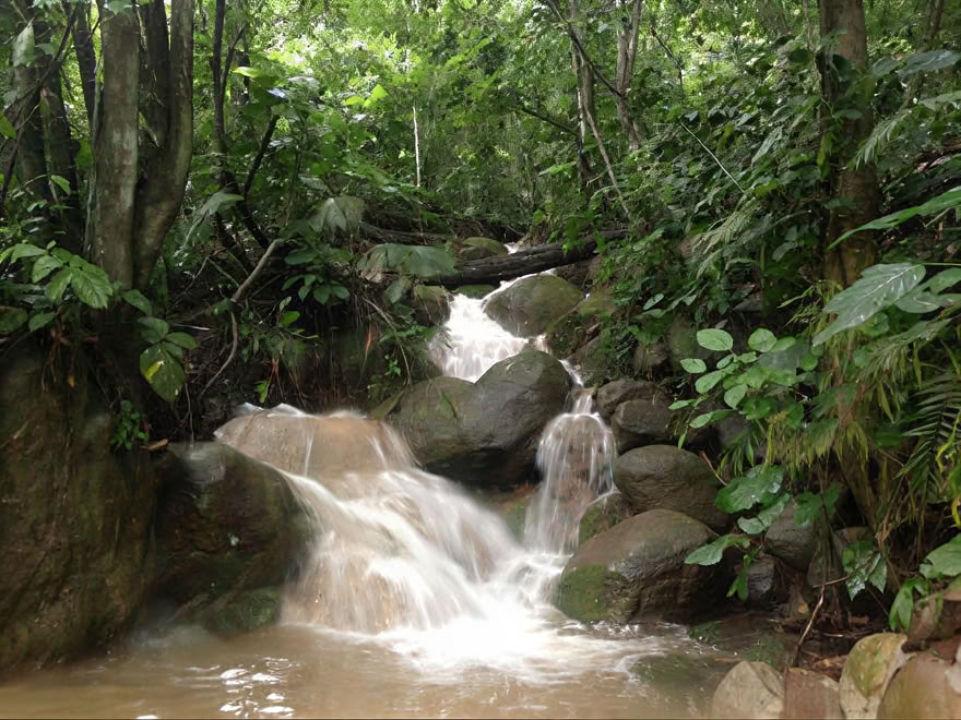 Ayahuasca savaitgalio retritas