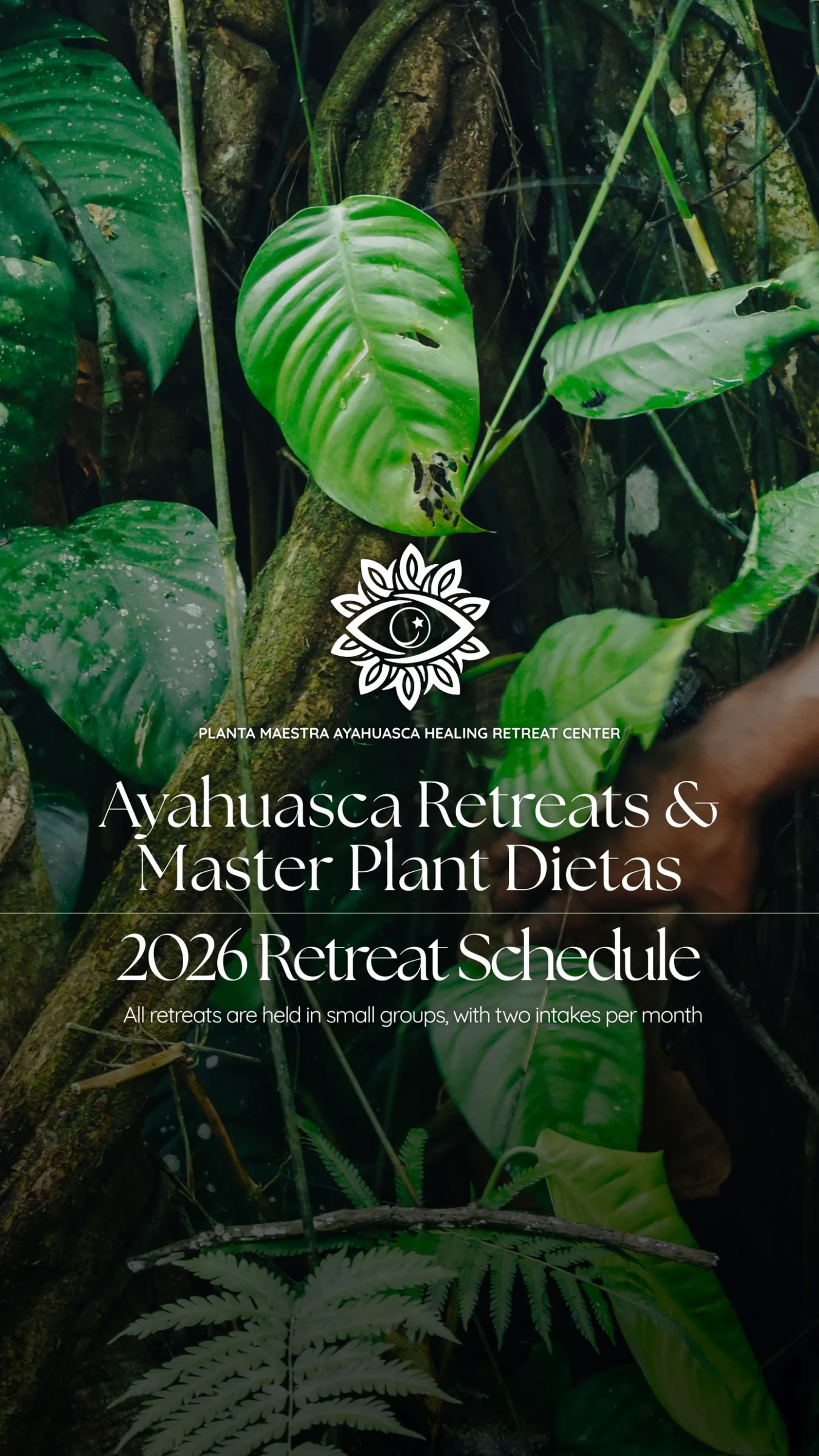 10 dienų Ayahuasca kelionė + Mokytojo augalo dieta