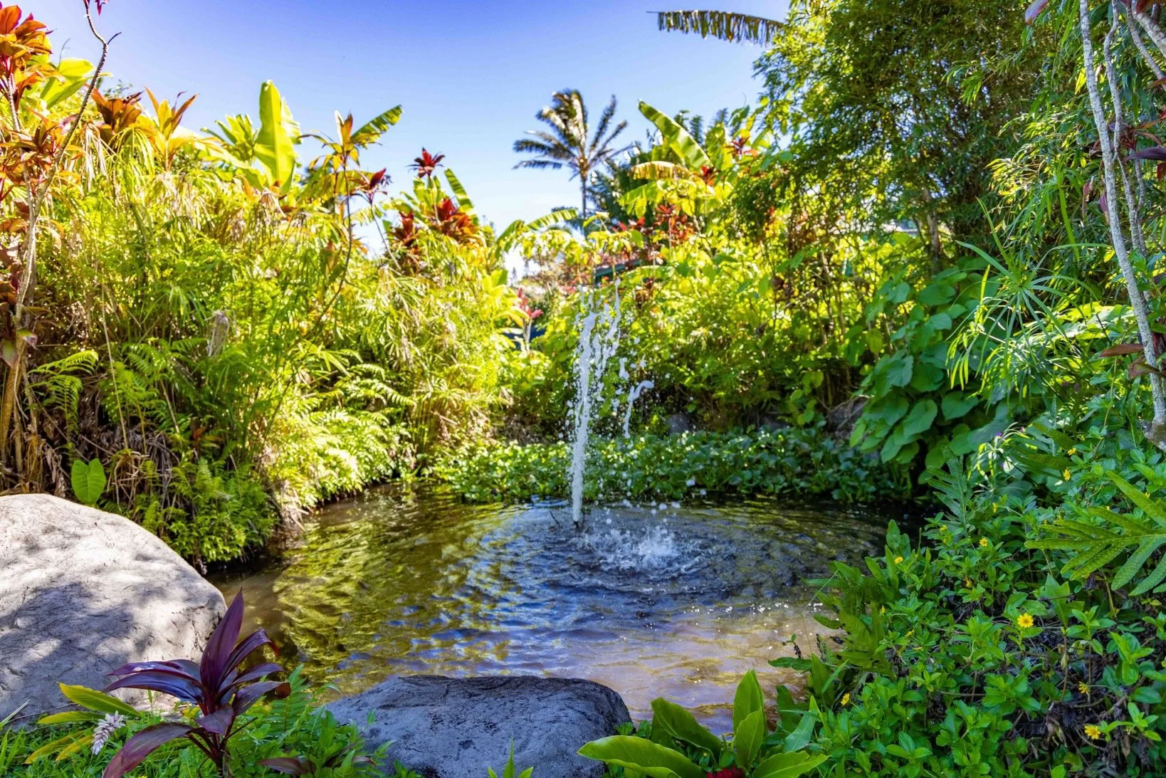Susitvarkyk savo reikalus retritas - Maui
