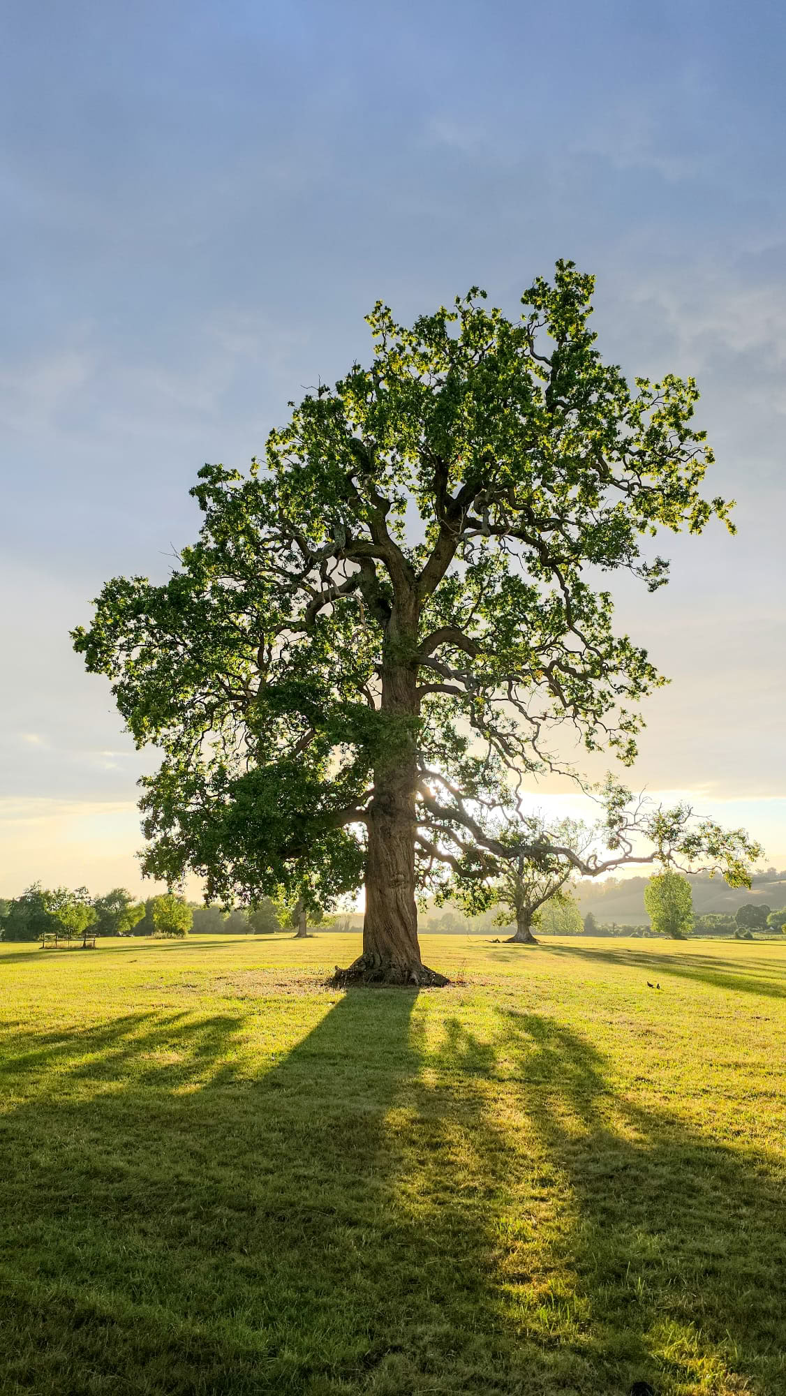 Vipasanos įžvalgos meditacijos retritas – rugpjūčio 31 d. – rugsėjo 6 d.