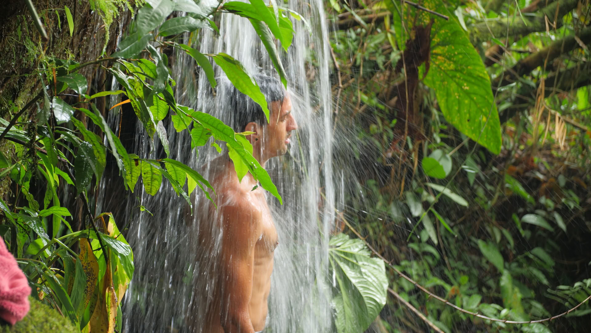 Ayahuasca & somatinė kelionė