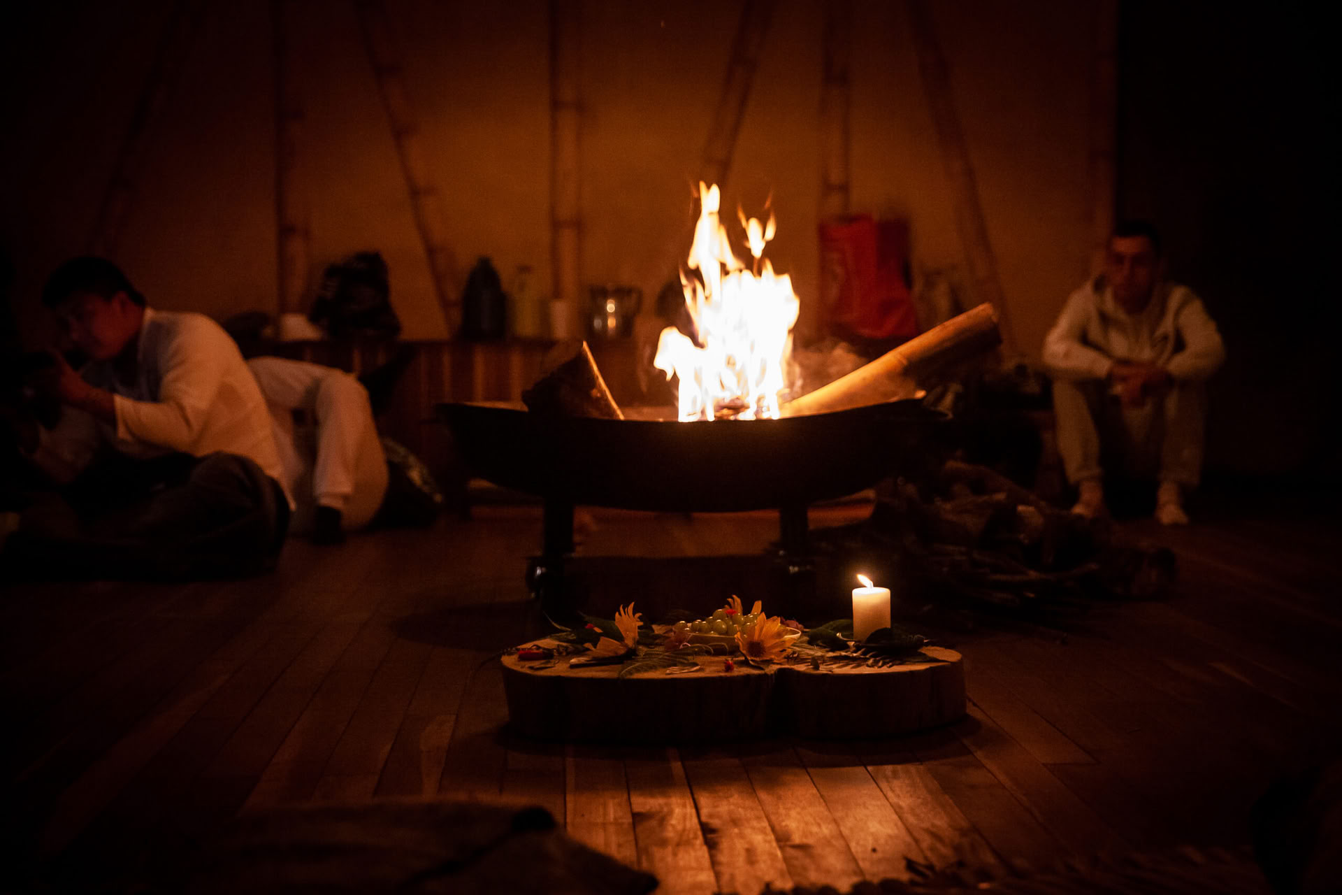 Ayahuasca & somatinė kelionė