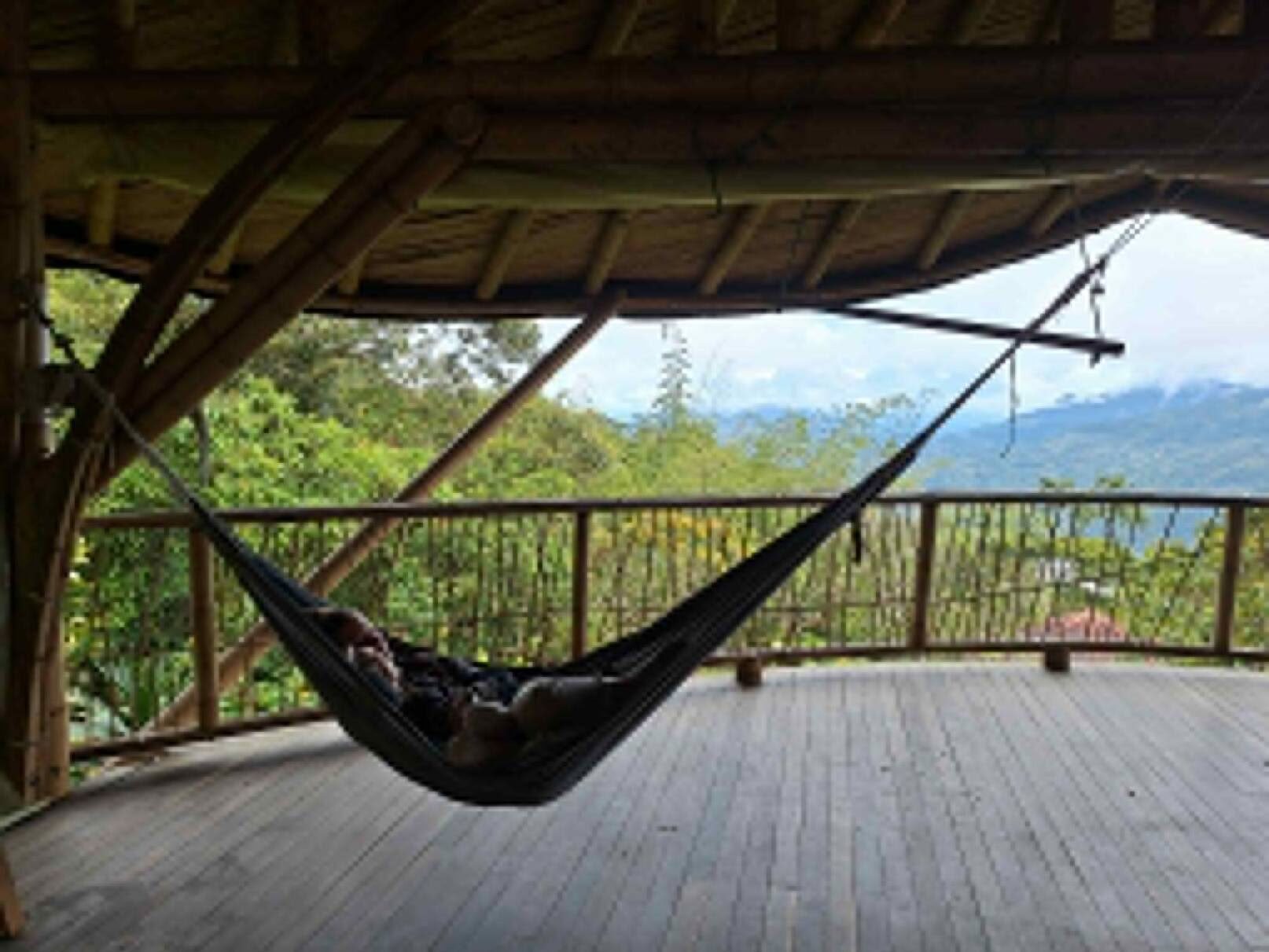 Ayahuasca & somatinė kelionė