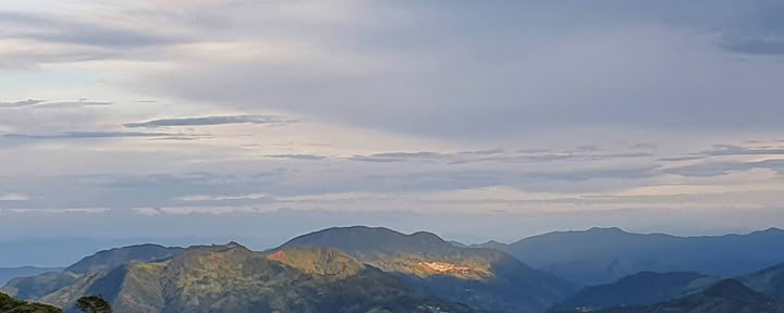 Grįžkite į savo ištakas