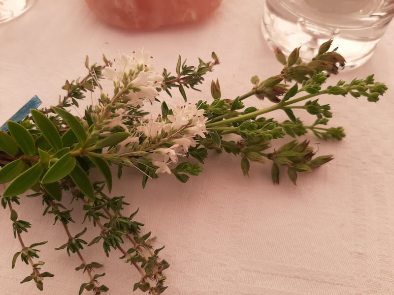 Lauko garso terapija ir gongų vonia