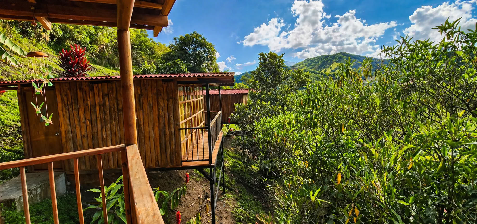 2026 m. rugsėjo Ayahuasca retritas Medeljine