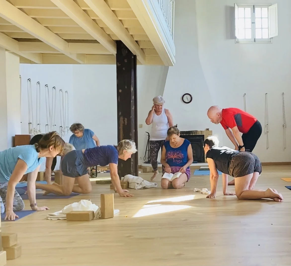 Pažangiosios studijos / mokytojų rengimo seminarai