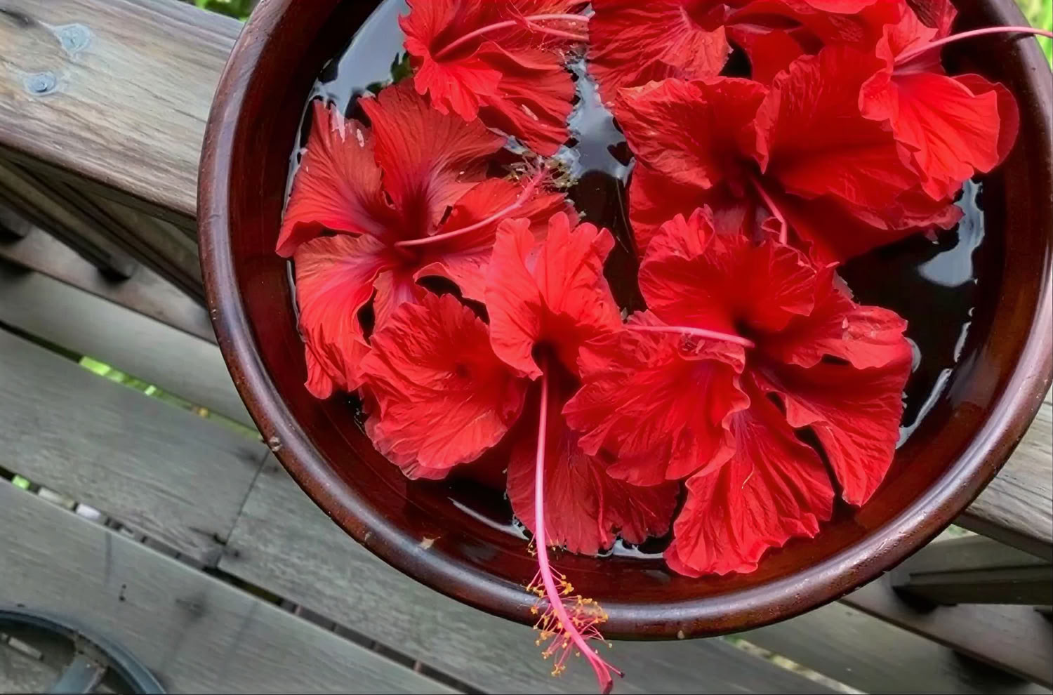 Florecer sveikatingumo retrito paketas