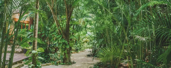 „Source Tantra porų atostogų seminaras“