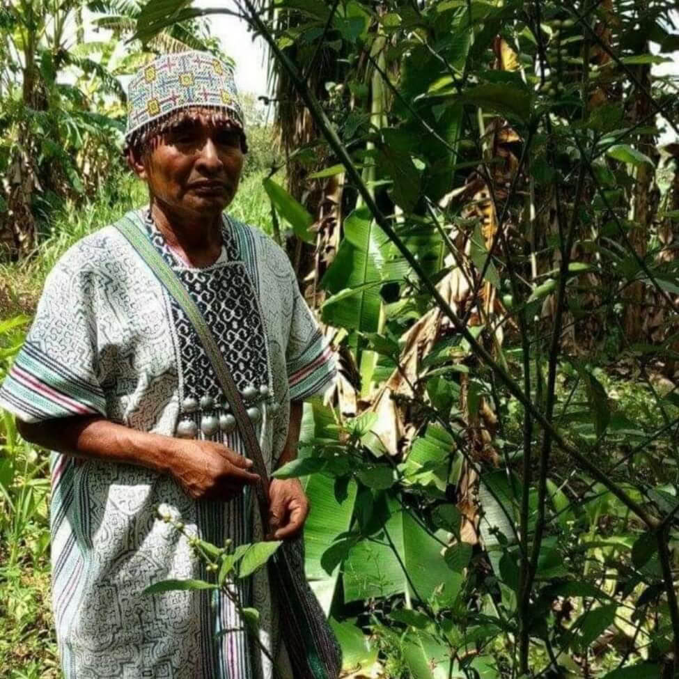 Ayahuasca Peru retritas su senovinėmis ceremonijomis (5 dienos)