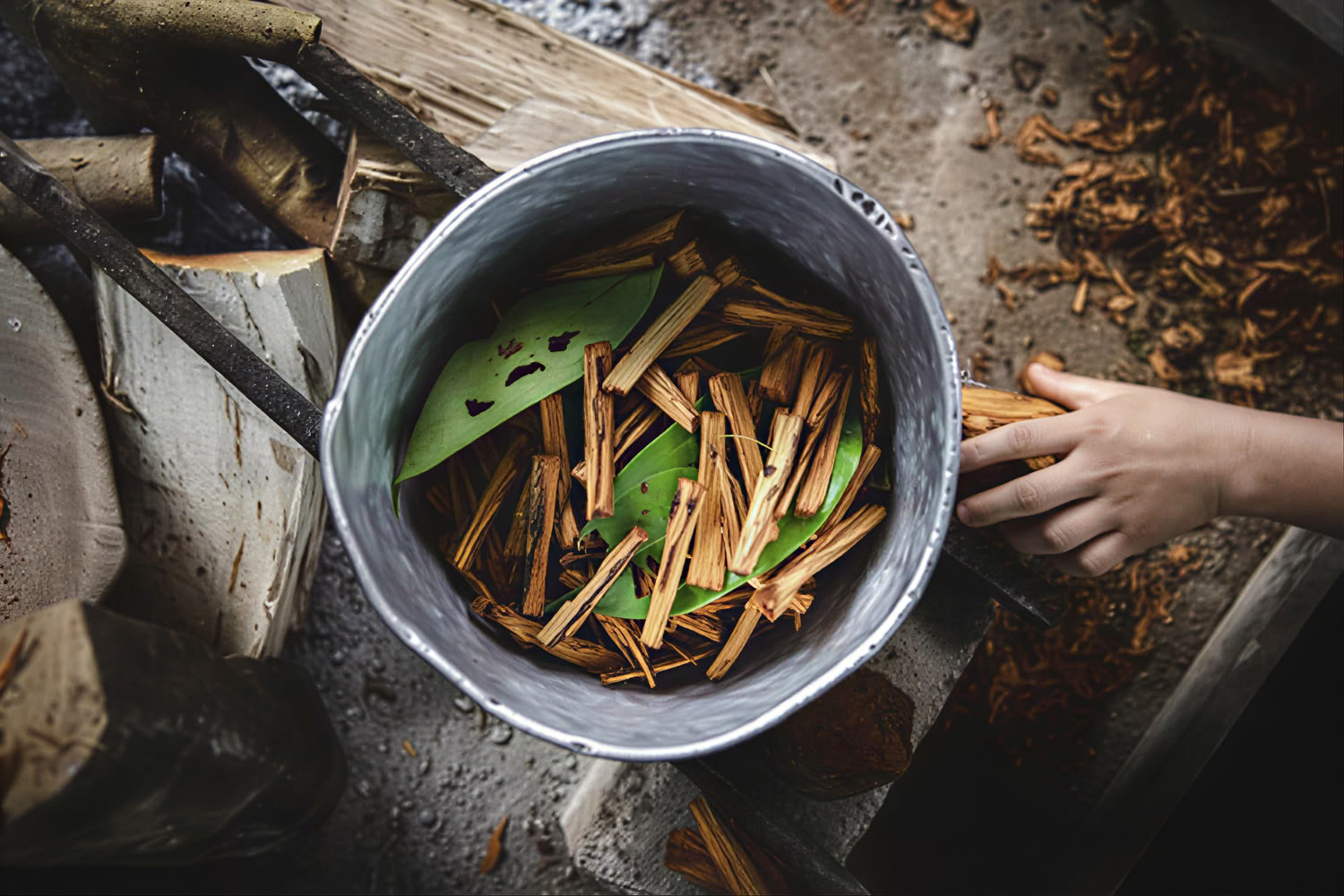 Ayahuasca Peru retritas su senovinėmis ceremonijomis (5 dienos)
