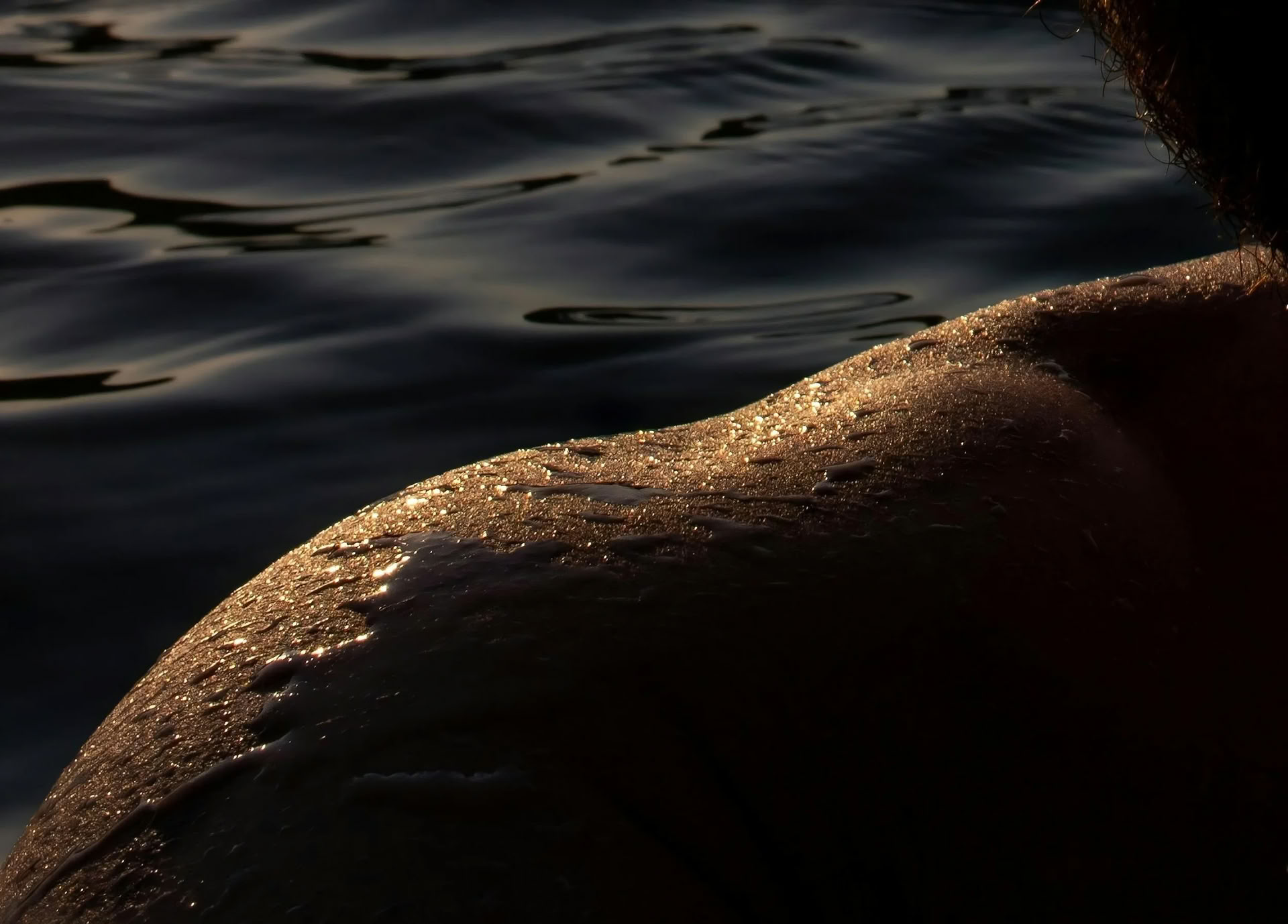 Ugnis ir ledas – infraraudonųjų spindulių sauna ir krioterapija