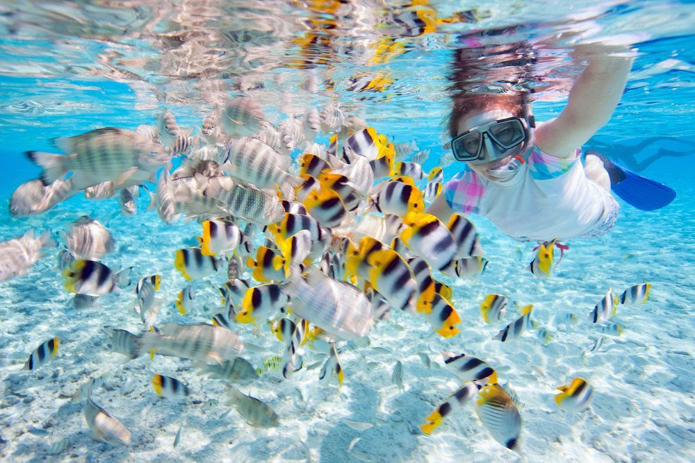Waterlover Retrito paketas