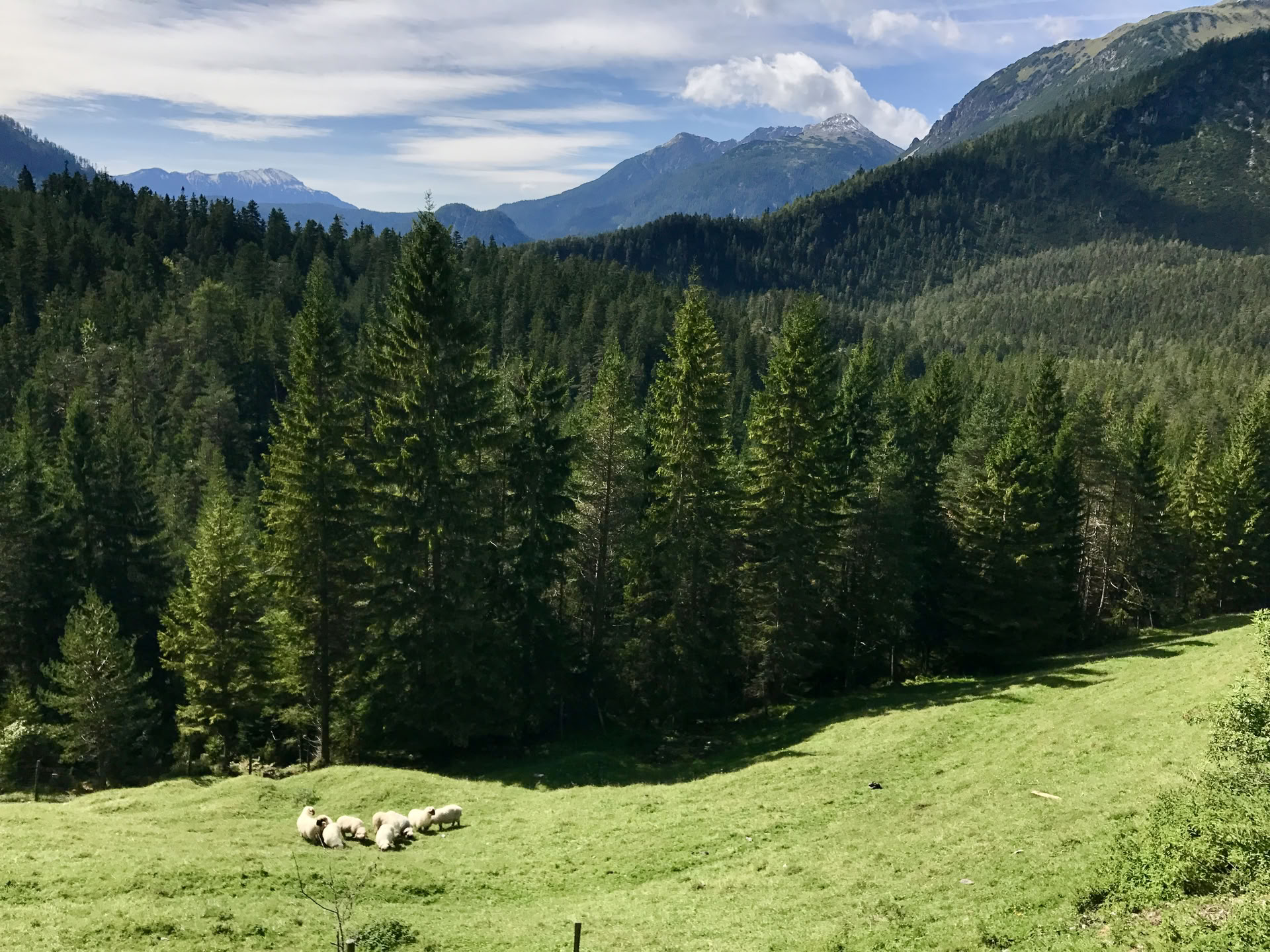 Joga ir žygiai Austrijos Alpėse