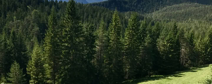 Joga ir žygiai Austrijos Alpėse