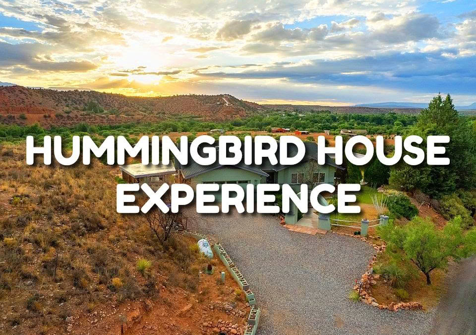 „Hummingbird House“ patirtis