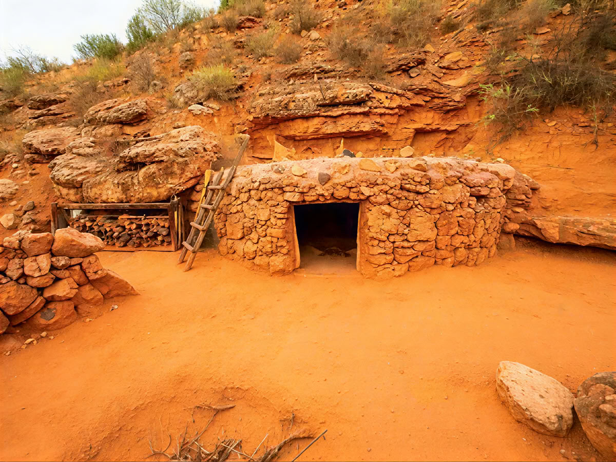 „Hummingbird House“ patirtis