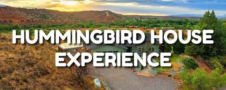 „Hummingbird House“ patirtis
