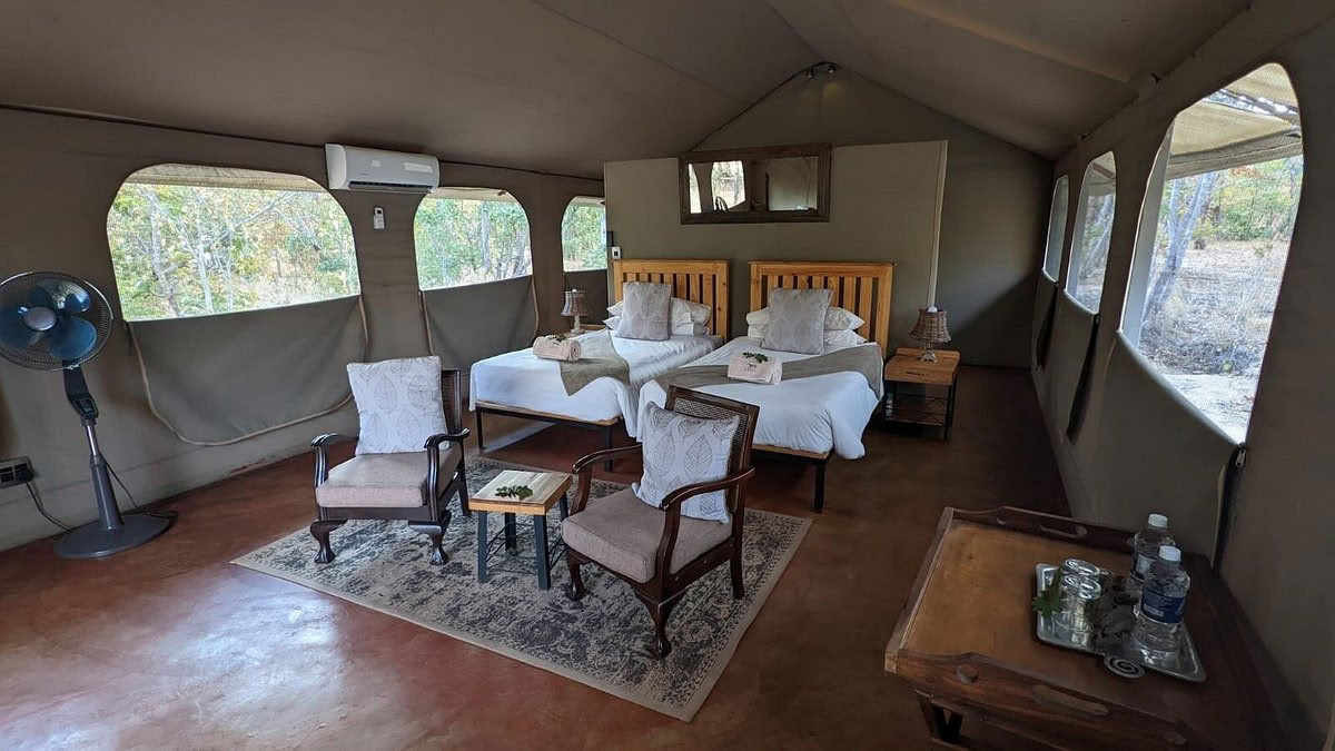 Sveikatingumo ir sveikatos safari