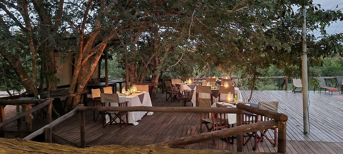 Sveikatingumo ir sveikatos safari