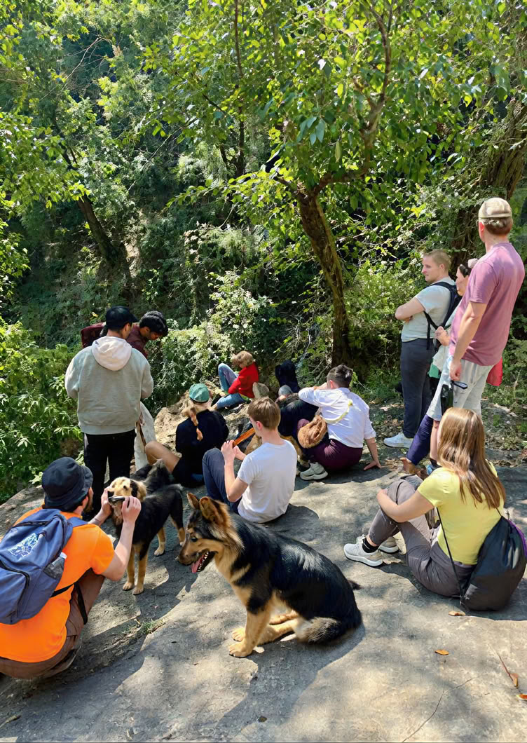 Vipasana Rišikeše: 11 dienų tylos pabudimo programa.