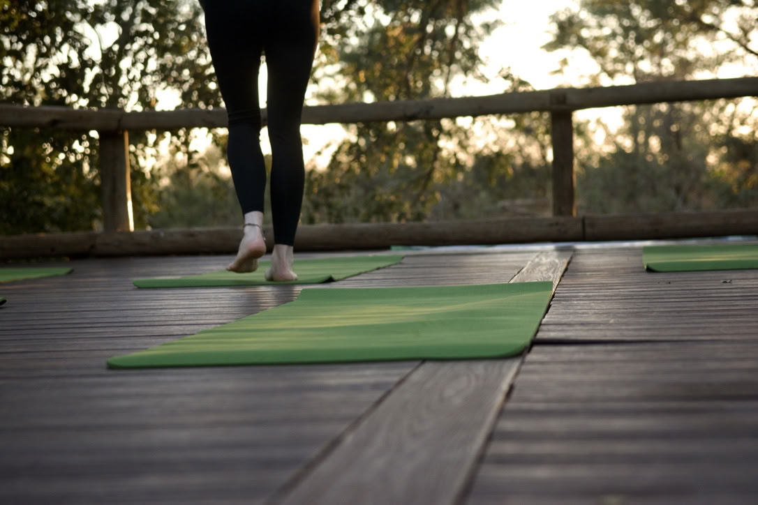 Joga su drambliais