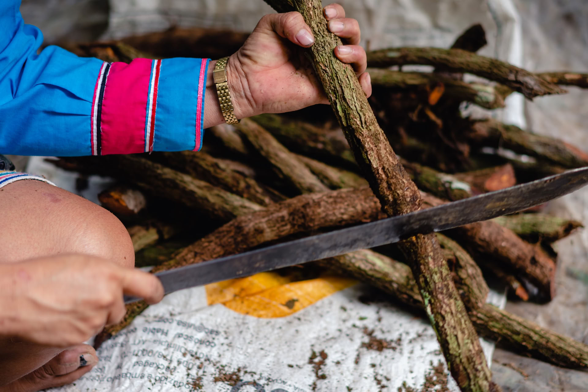 „Ayahuasca August 2026 Renewal Retritas (12 dienų)“