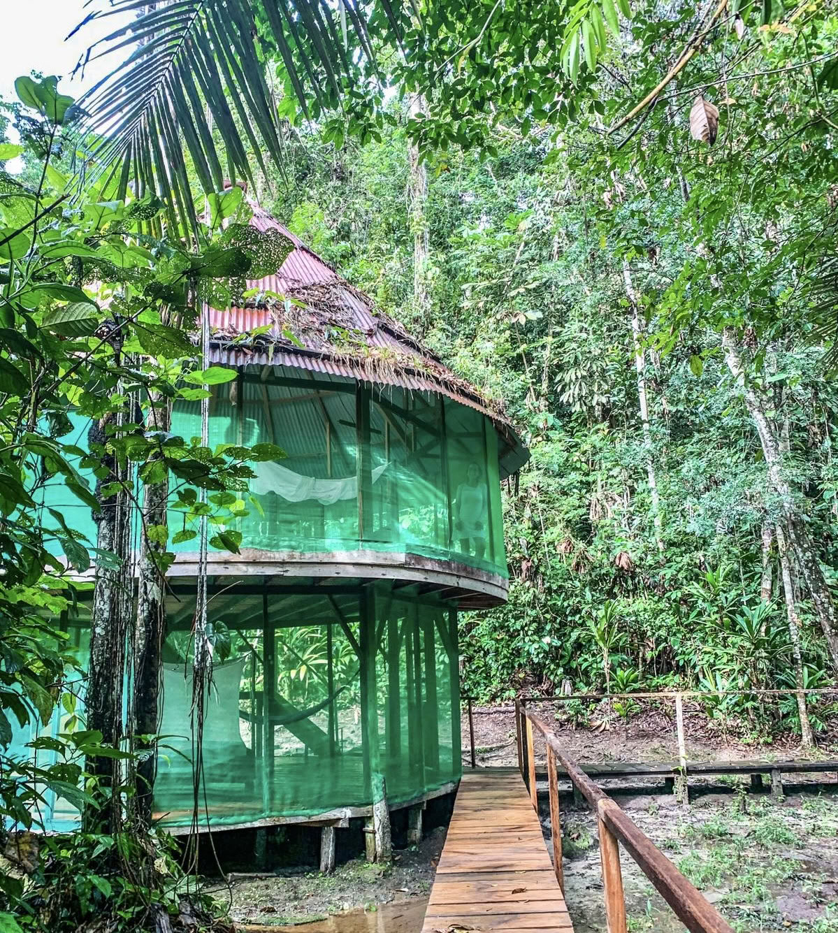„Ayahuasca August 2026 Renewal Retritas (12 dienų)“