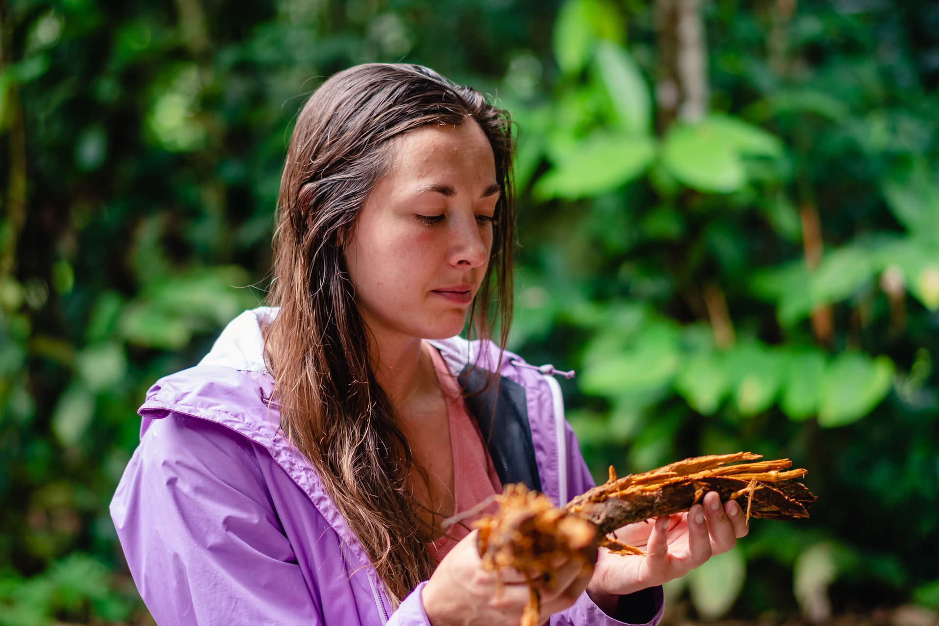 „Ayahuasca August 2026 Renewal Retritas (12 dienų)“