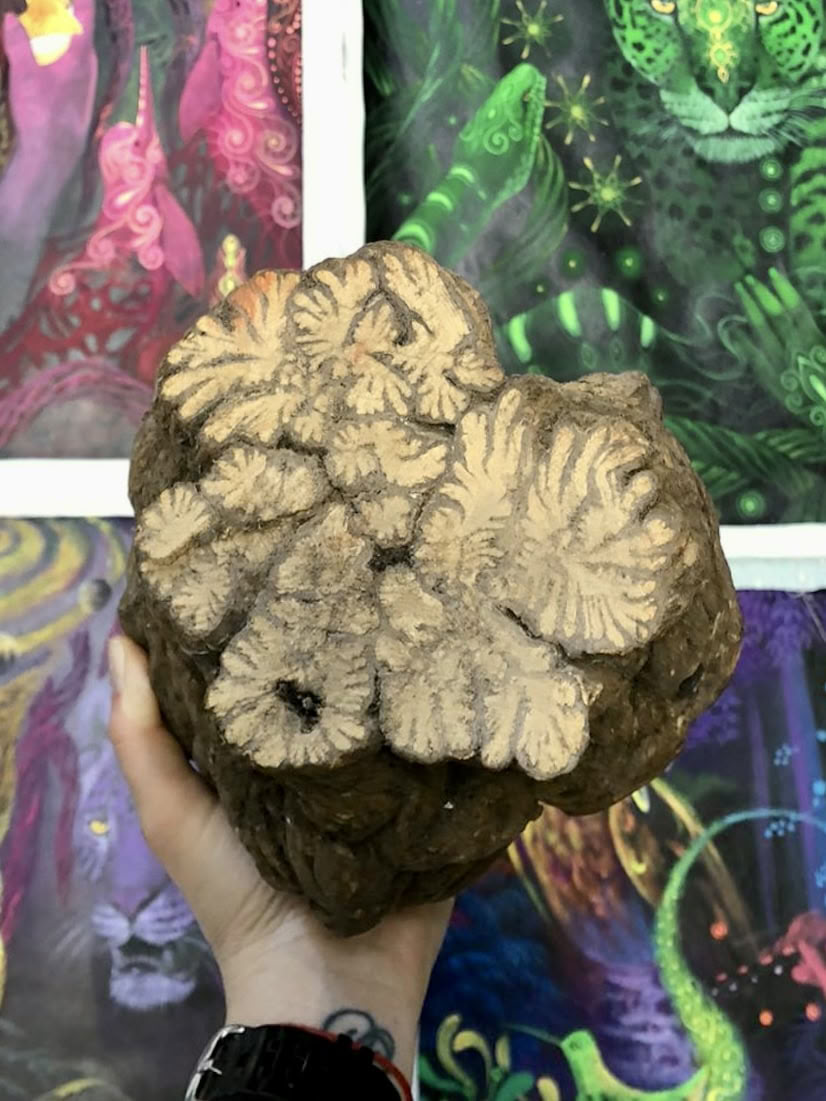 „Ayahuasca September 2026 atsinaujinimo retritas (8 dienų)“