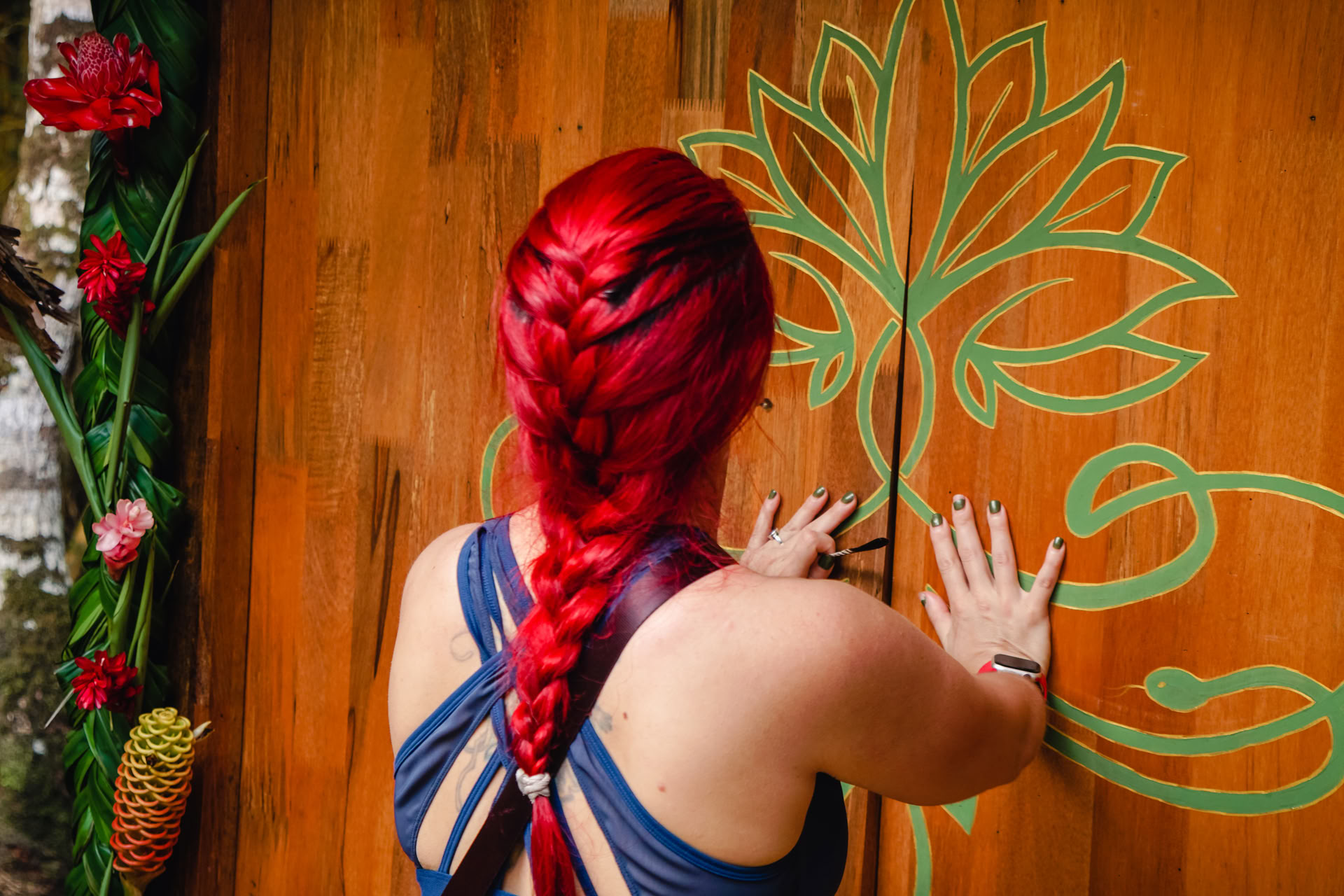 „Ayahuasca September 2026 atsinaujinimo retritas (8 dienų)“