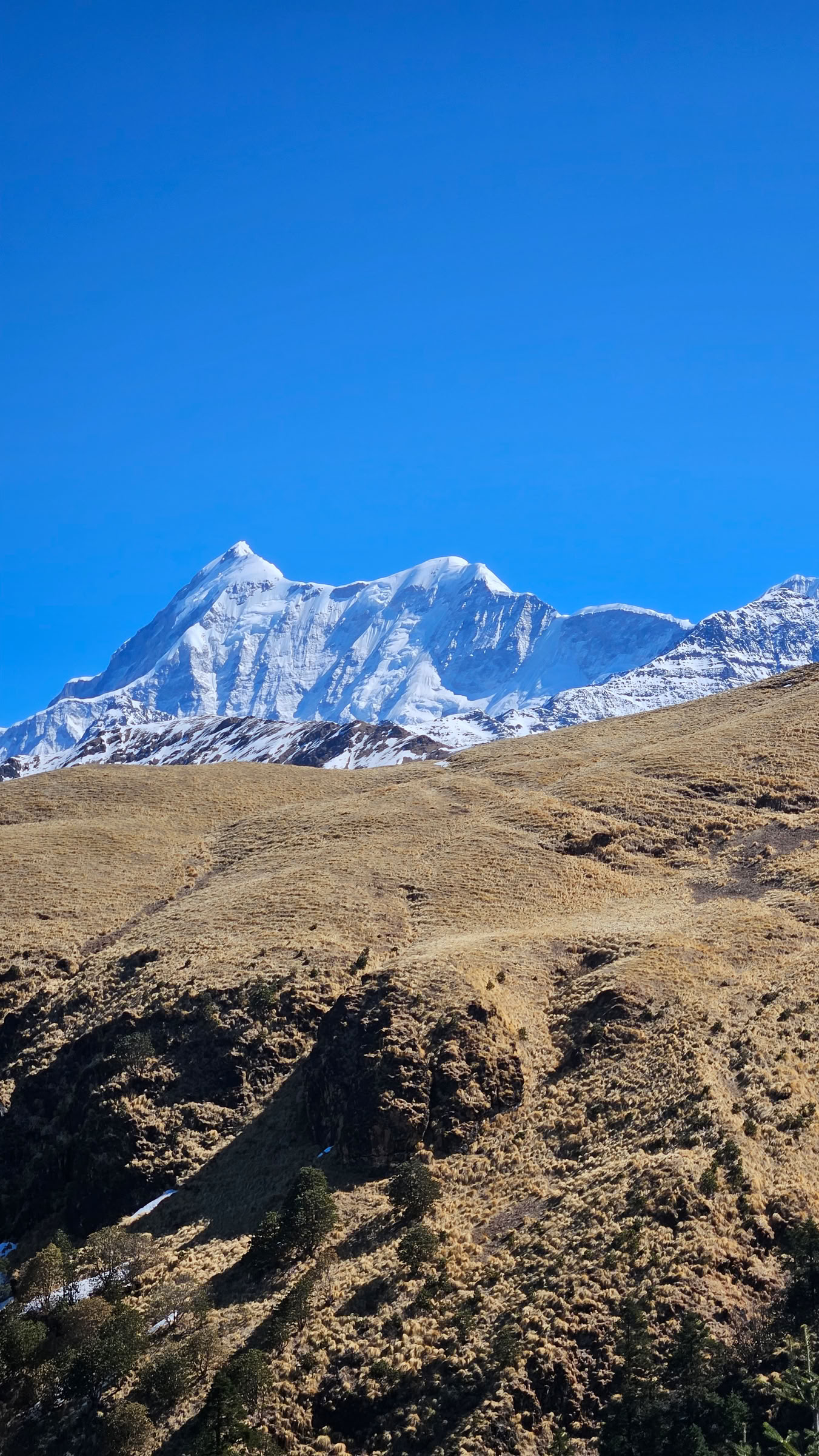 Bedni Bugyal žygis – 2026 m. liepos 9–13 d.